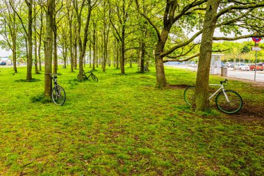 Odense 'deki otobüs durağının yanındaki bisiklet parkı