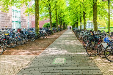 Odense 'deki tren istasyonunun yakınındaki bisiklet parkı