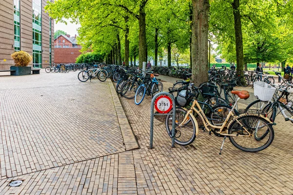 Odense 'deki tren istasyonunun yakınındaki bisiklet parkı