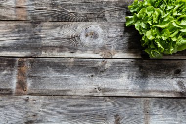 ahşap üzerine yeşil salata vejetaryen menü düz yatıyordu