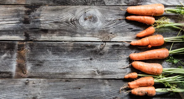 Cenouras orgânicas com sujeira para jardinagem autêntica, genuína ou menu — Fotografia de Stock