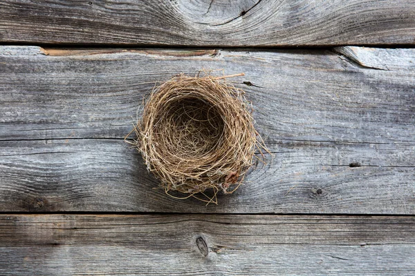 Nest for metaphor of genuine comfortable home or sustainable investment — Stock Photo, Image