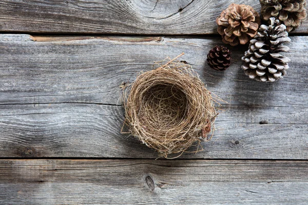 Nido vacío en madera vieja para símbolos de invierno sostenible — Foto de Stock