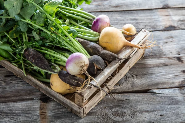 Mix barevné organické zeleniny s kořeny v dřevěné bedně — Stock fotografie