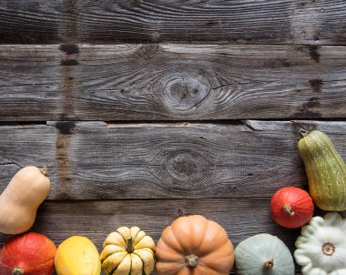 çerçeve farklı kabaklar ve squashes ahşap, kopya alanı üzerinde