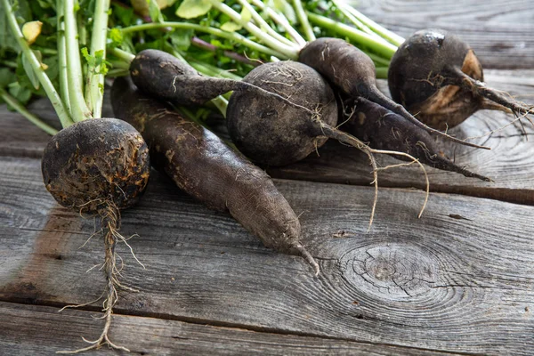 Ατελής οργανικά υγιή ραπανάκια μαύρο στο ξύλο για την πραγματική κηπουρική — Φωτογραφία Αρχείου