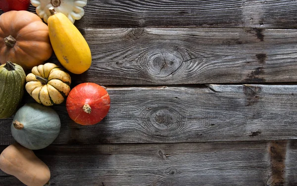 variety of pumpkins and squashes for a vegetarian or vegan menu