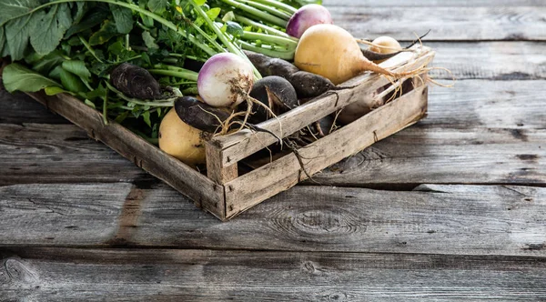 Legumes com raízes em caixa de madeira para uma verdadeira agricultura sustentável — Fotografia de Stock