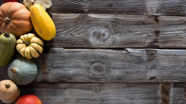 kabaklar, squashes ve pattypans vejetaryen menü için aile