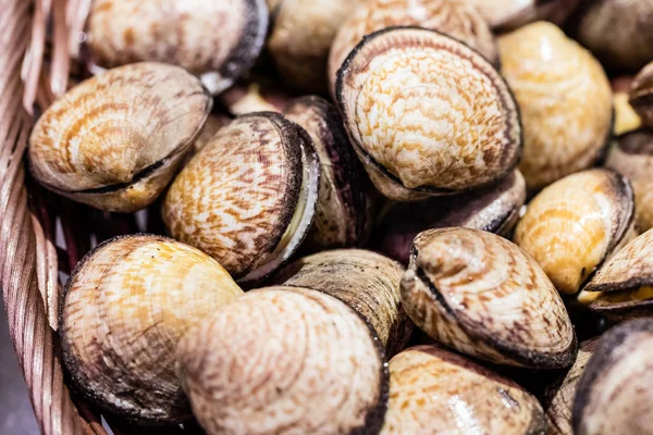 shells of raw venus clams at the fish shop