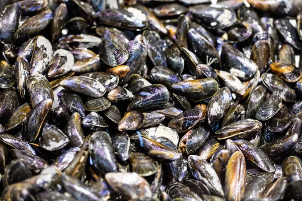 Esposizione di cozze fresche per gli amanti dei crostacei o dei frutti di mare — Foto Stock