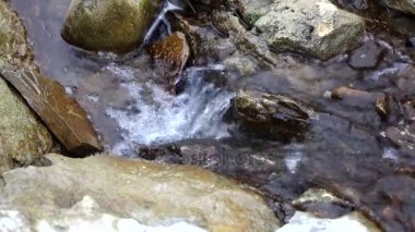 su, doğal enerji için küçük mineral nehir güçlü akışı