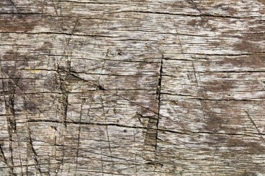 hakiki çizilmiş vintage ahşap kaba doku ve rustik şablonu