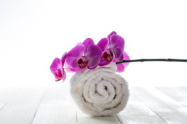 kavramı yumuşaklık, bulaşık ve duygusallık, şık natürmort