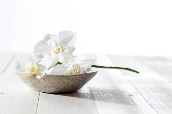 Piękno Martwa natura z białe storczyki dla koncepcji higieny — Zdjęcie stockowe