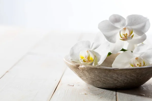 Fragancia naturaleza muerta con orquídeas blancas puras en taza de piedra — Foto de Stock