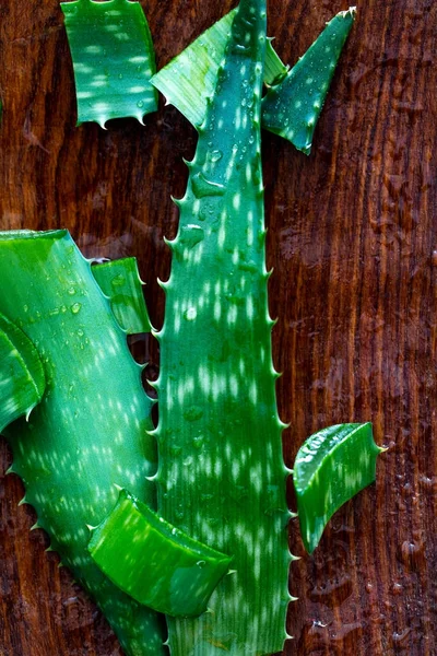 Nahaufnahme von mit natürlichem Gel hydratisierter Aloe Vera, oben — Stockfoto