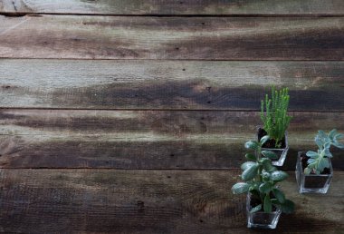 Eğitim çiçekçi veya sınıf kavramı için kopya uzay wallpaper