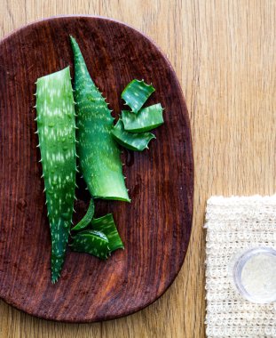 aloe vera özü ve lif kabağı ile güzellik atölye kavramı