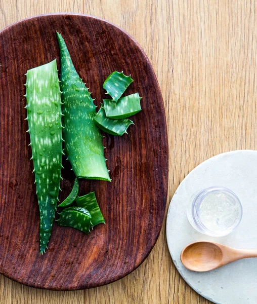 Aloe vera blad segment för att designa ren handgjorda brännskador — Stockfoto