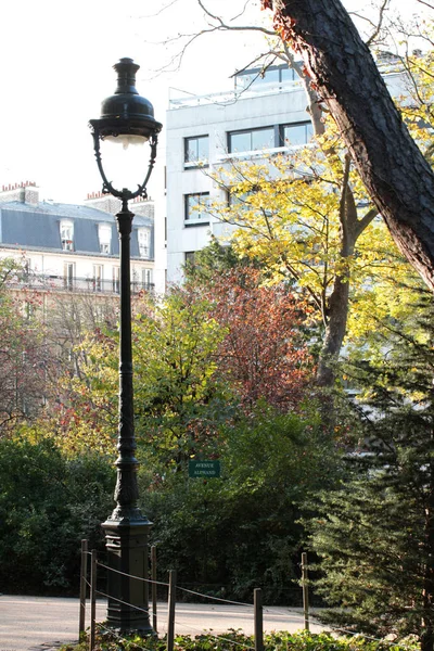 Luz de calle tradicional en el parque histórico de París con follaje otoñal —  Fotos de Stock