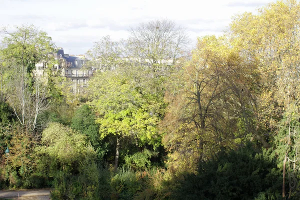 Green tree foliage in Paris city park with traditional buildings — Stock Photo, Image