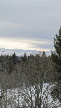 Karlı yüksek Alp dağları, bulutlu kış mevsiminde ağaç önplanıyla