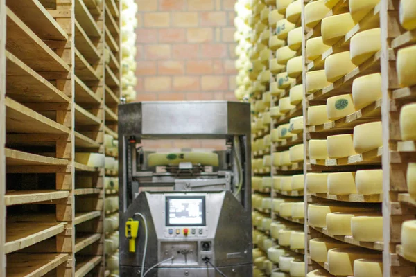 ハイテクロボットを使った現代的で伝統的なチーズ作りは — ストック写真