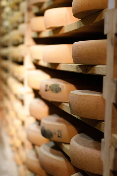 成熟競争、木製の棚で成熟したフランスの牛乳チーズ — ストック写真