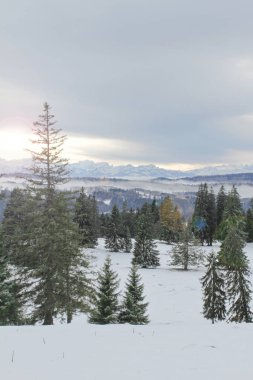 Kış sabahı, Alpler 'in karlı panoramasıyla gün doğumu kartpostalı.