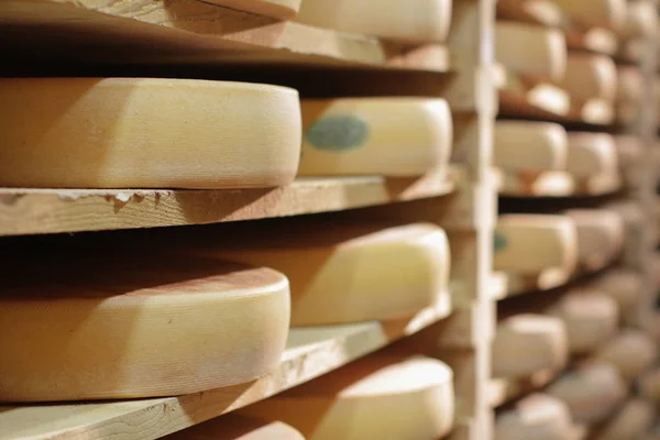 プロのフランスのチーズメーカーで-伝統的な木のコント地下室 — ストック写真