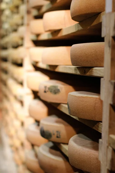 Professional cheese aging cellar for Comte cheese wheels, Jura, France — ストック写真