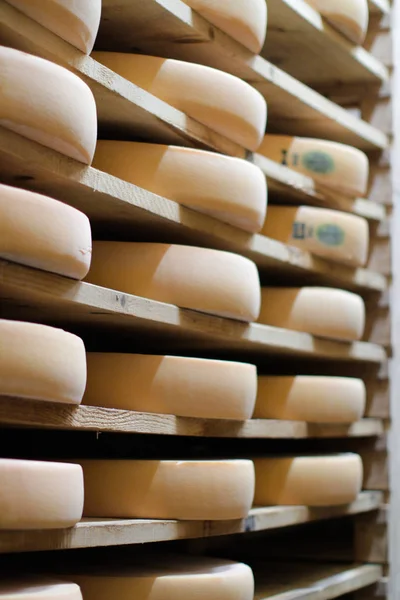 精製と熟成チーズのスタック,フランスのコミットホイール,フランス — ストック写真