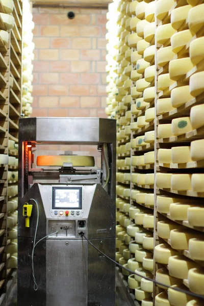 Robot de alta tecnología que ayuda en el salazón francés ruedas de queso Comte — Foto de Stock
