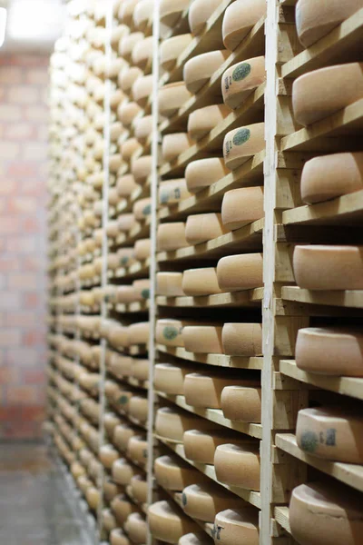 Típica francesa ruedas de queso Comte envejecimiento en estantes de madera, Francia — Foto de Stock