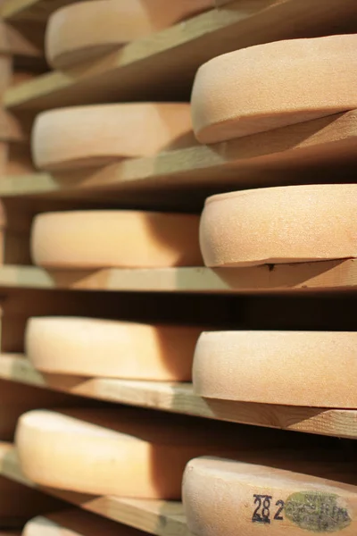 Stack of refining Comte cheese wheels on wood shelves, France — ストック写真