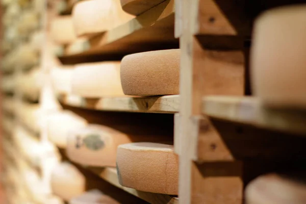 Primer plano de las costras de queso en los estantes de madera tradicionales en el sótano — Foto de Stock