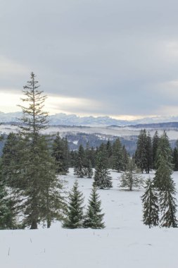 Winter postcard with snowy and fog panorama of The Alps