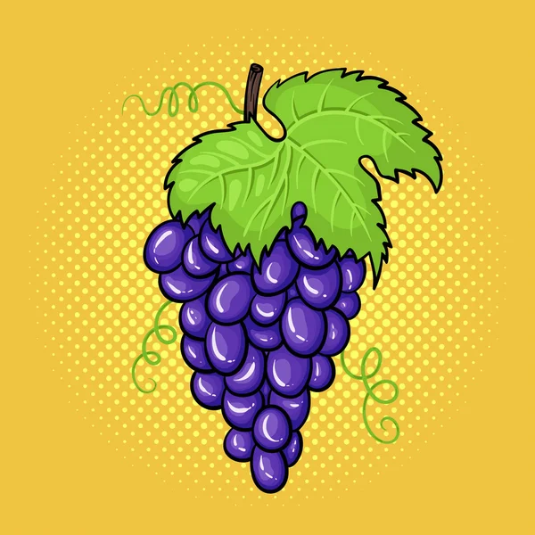 Vector hand drawn pop art illustration of bunch of grapes with a — Stock Vector