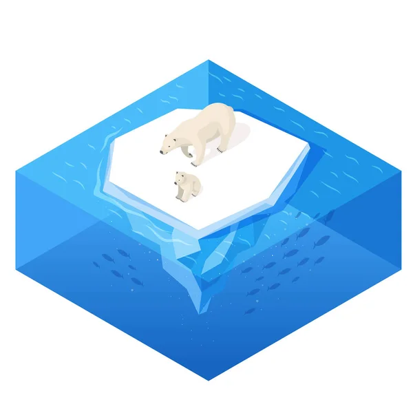Isométrico 3d vetor ilustração de urso branco . —  Vetores de Stock