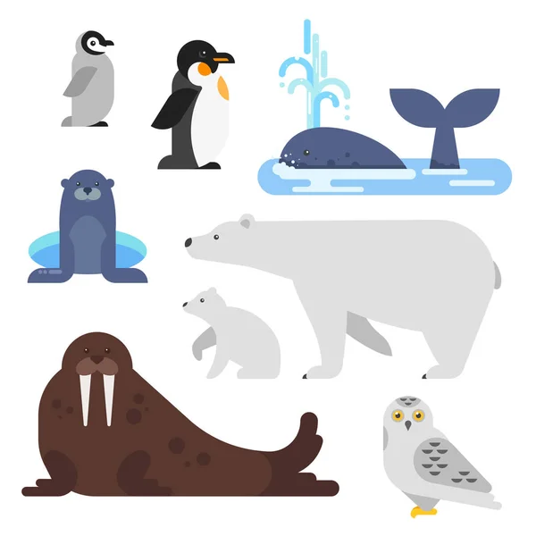 Conjunto de animales árticos de estilo plano vectorial . — Vector de stock