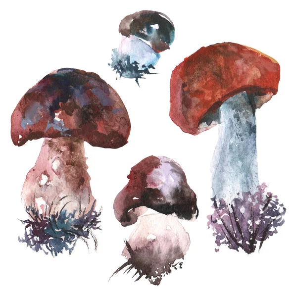 Акварельная растровая иллюстрация грибов . — стоковое фото