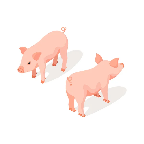 Isometric 3d vector illustration of small pink cute pig — Stock Vector