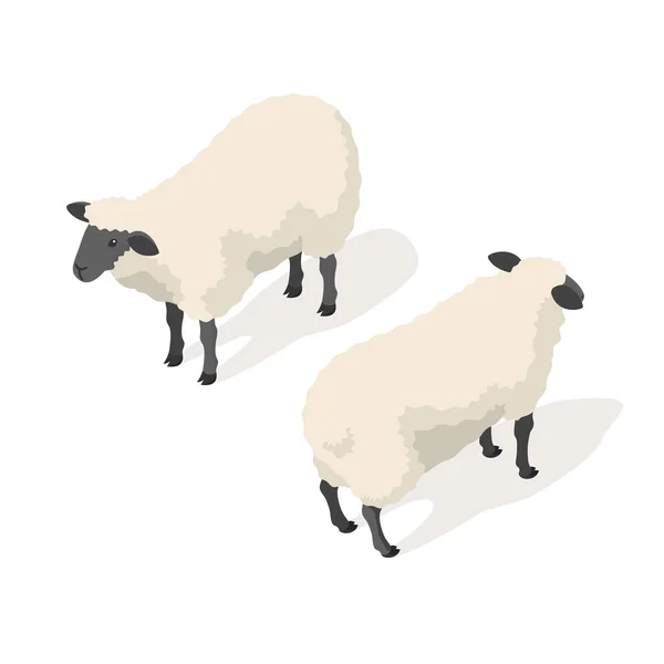 Illustration vectorielle 3D isométrique des moutons — Image vectorielle