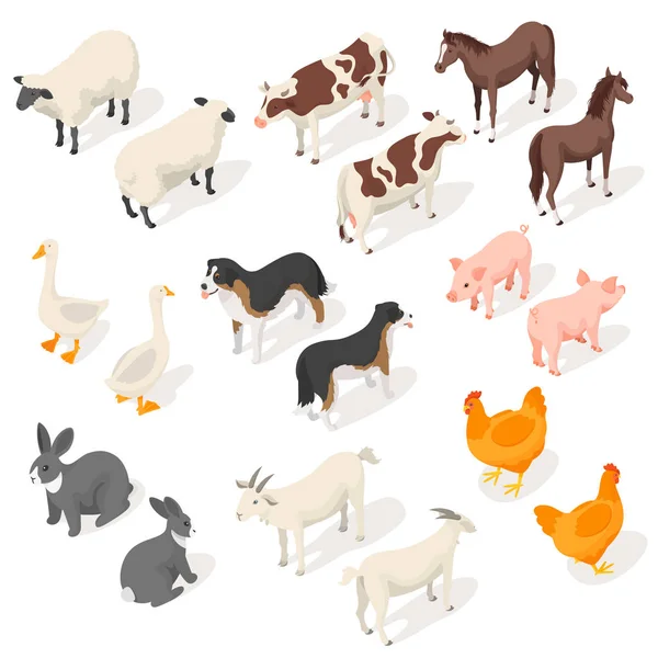 Isometric 3d vector set of farm animals — Stock Vector