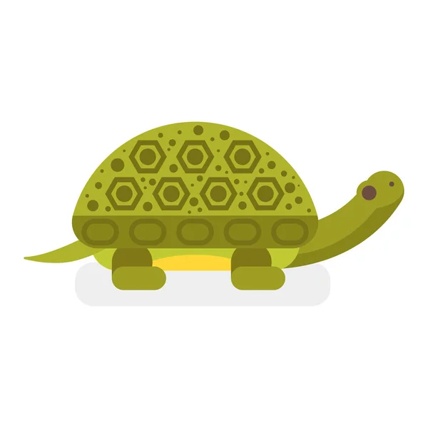 Vector flat style illustration of turtle. — Stock Vector