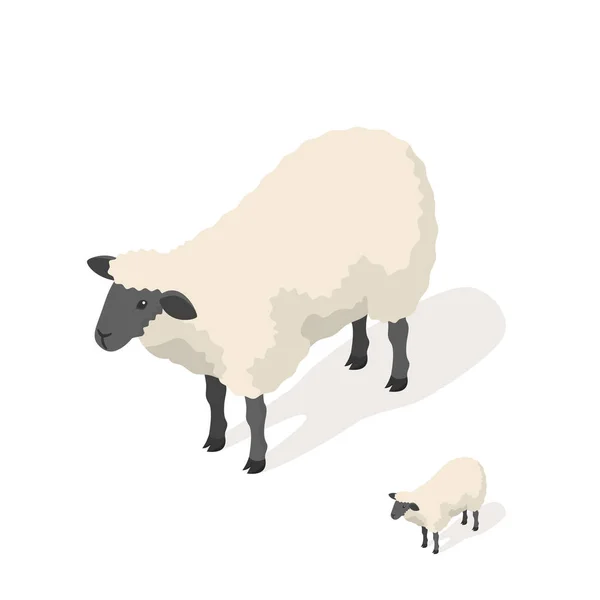 Illustration vectorielle 3D isométrique des moutons — Image vectorielle