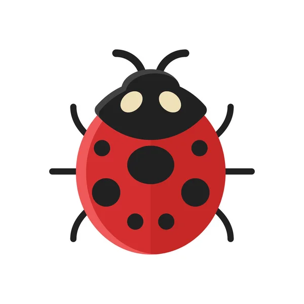 Vector flat style illustration of ladybug. — Stock Vector