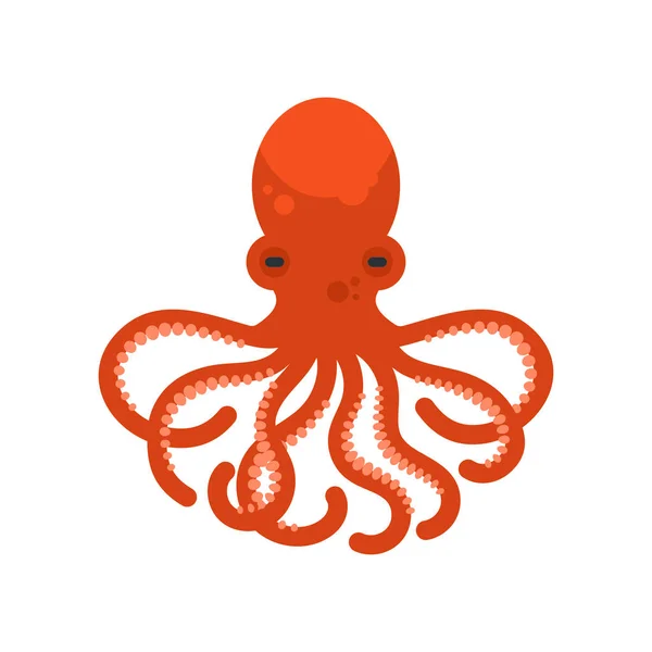 Ilustración de estilo plano vectorial de pulpo . — Vector de stock