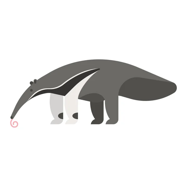 TemplateVector flat style illustration of anteater. — Stock Vector